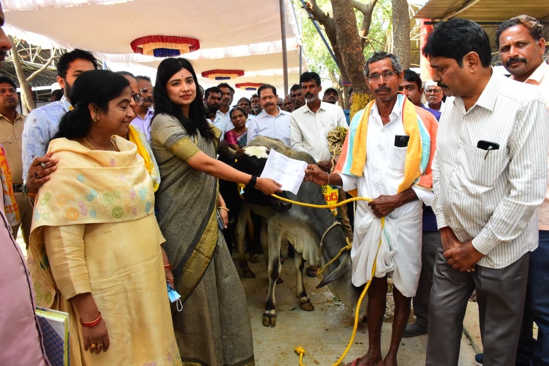 రాజన్న కోడెలను సంరక్షించాలి  ఇంచార్జి కలెక్టర్ గరిమ అగ్రవాల్